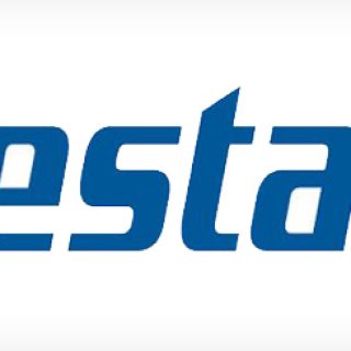 Vestas Logo - Ansigtsmaler - Reference